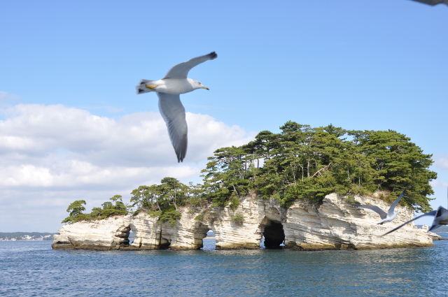 Kalksteininseln in Matsushima