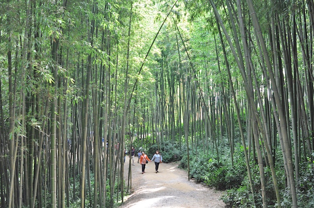 Junokwon Bambuswald bei Damyang